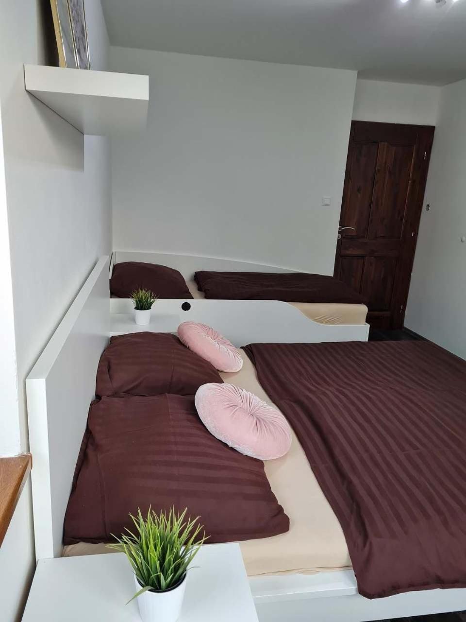 Vila Max - Whirlpool & Bazen & Sauna Velké Losiny エクステリア 写真